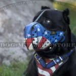 Leather Dog Muzzle for Agitation/Attack Handpainted