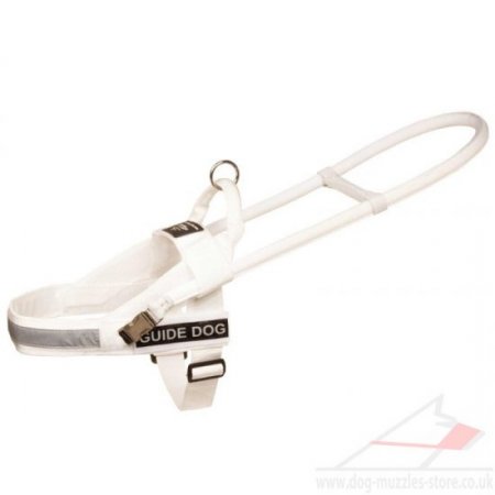 Large Assistance Dog Mobility Harness with Handle