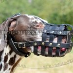 Leather Dog Muzzle for Dalmatian | Dalmatian Muzzle Bestseller