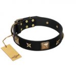 "Starry Harmony" Soft Black Leather Dog Collar FDT Artisan