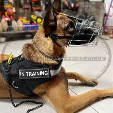 Belgian Malinois Muzzle | Wire Dog Muzzle Soft Padded