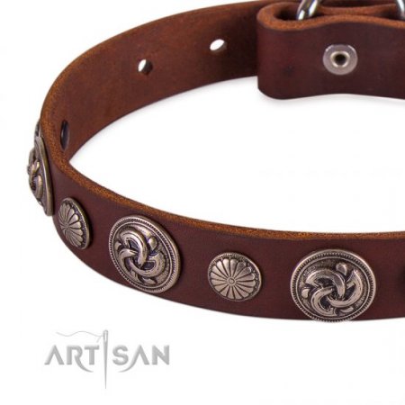 Designer Studded Dog Collar With Round Ornaments FDT Artisan