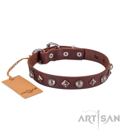 Exclusive Brown Leather Dog Collar With Nameplate UK