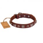 Best Brown Thick Studded Dog Collar FDT Artisan For Active Walk