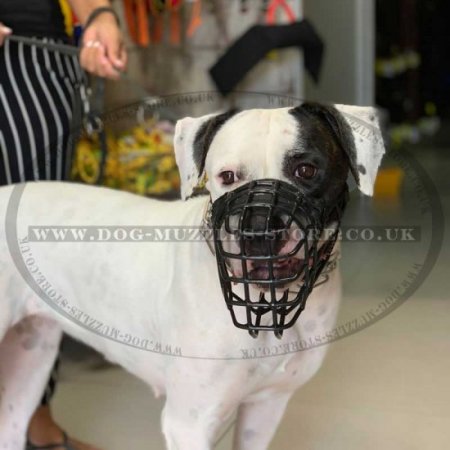 The Best XL Bully Muzzle Size Chart Black Wire Basket