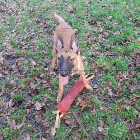 Large Strong Dog Bite Training Tug French Linen