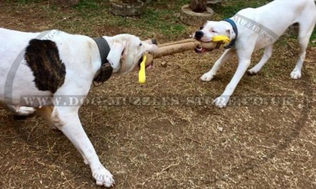 Dog Training Jute Tug with Handles for Biting and Prey Drive