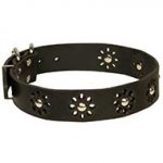 Flowery Design Leather Dog Collars for Strong Dogs