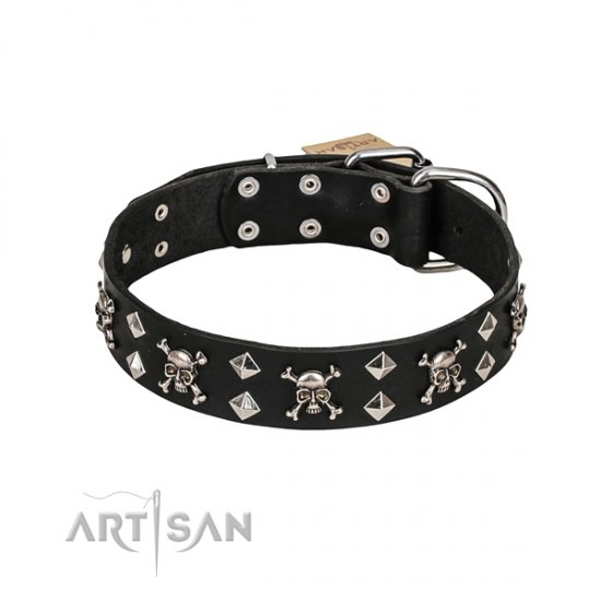 Leather Dog Collar FDT Artisan with Studs, Bones and Skulls