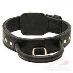 Super Strong Dog Collar with Handle for the Best Control