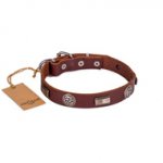 Functional Brown Studded Buckle Dog Collar FDT Artisan