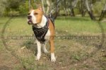 Pretty Handmade Dog Harness For Amstaff Painted Design