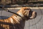 "Large Snake" Durable Leather Choke Dog Collar For Shar Pei