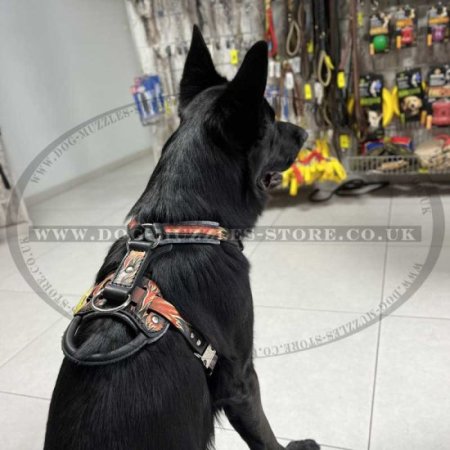 Luxury Dog Harness for German Shepherds for Sale from Producer