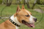 "Celestial Sphere" Brass Studded Dog Collar For Staffy 1" Width