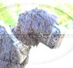 Handmade Dog Muzzle for Black Russian Terrier "Barbed Wire"