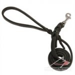 Leather Dog Leash with Stainless Steel Carabiner