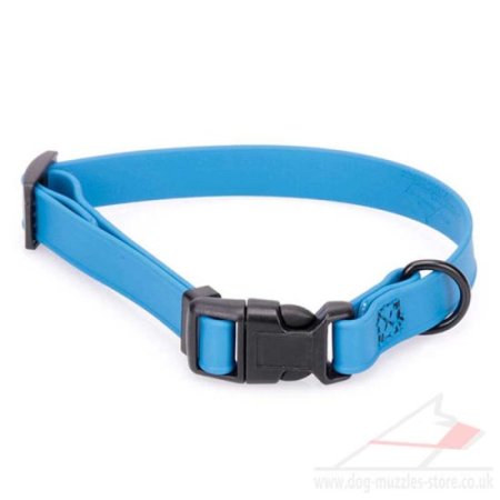 Durable Waterproof Dog Collar with Quick Release 0.6"