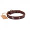 Fashionable Dark Brown Leather Dog Collar For Daily Walking