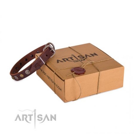 Adorned Brown Leather Dog Collar For Dogs 1 In Width