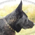 Studded Dog Collar for German Shepherd, Genuine Leather