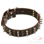 Spiked Designer Dog Collar War Style | New Leather Dog Collar