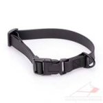 All Weather Dog Collar with Quick Release Buckle 0.8" Wide