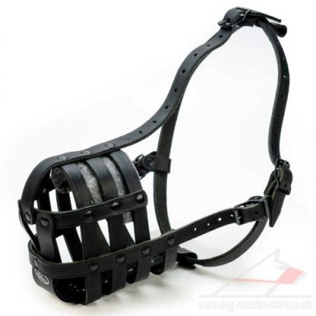 36 Sizes of The Best Light Leather Dog Muzzle Strong Basket