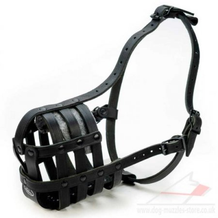 Leather Dog Muzzle for Dalmatian | Dalmatian Muzzle Bestseller