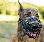 Rubber Dog Muzzle for All Weather Use | Great Dane Muzzle
