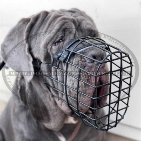 The Best XL Bully Muzzle Size Chart Black Wire Basket