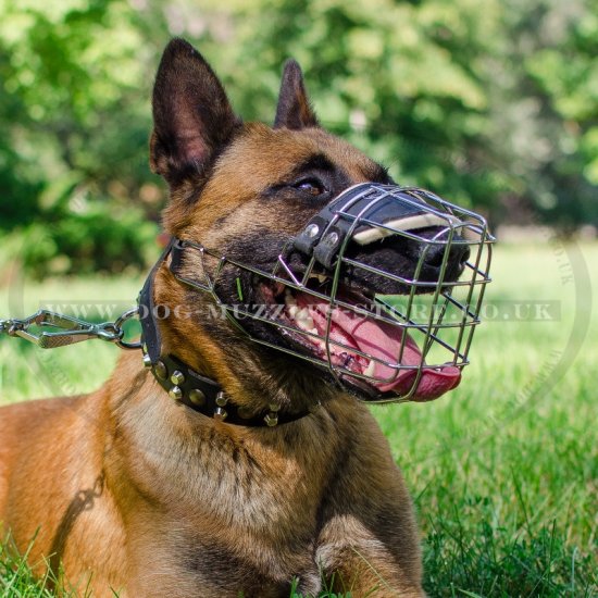 Belgian Malinois Muzzles | Belgian Shepherd Muzzles Best Choice - Click Image to Close