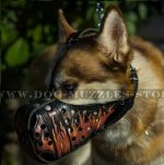 Siberian Husky Dog Training Painted Muzzle, Leather