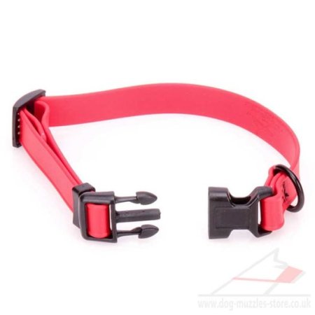Durable Waterproof Dog Collar with Quick Release 0.6"