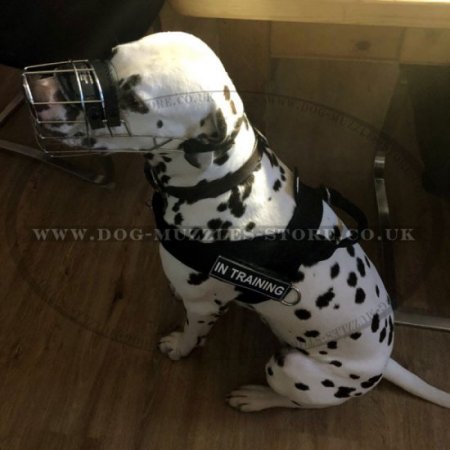 Non Pull Dog Harness UK Bestseller with Front Clip and Ring