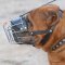 Shar Pei Muzzle UK | Best Dog Muzzle for Shar Pei Dogs