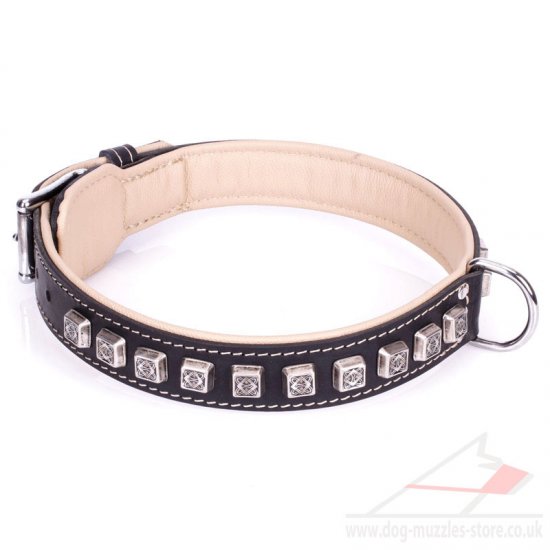 Black Leather Dog Collar UK