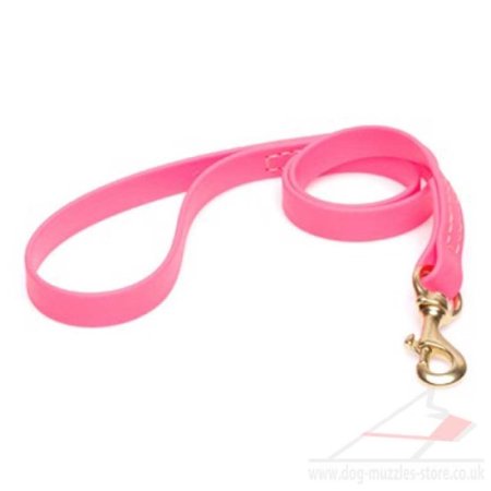 Pink Leash for Dog Walking Strong & Soft Biothane