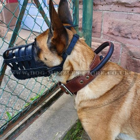 Leather Dog Muzzle | Belgian Malinlois Muzzle Bestseller UK