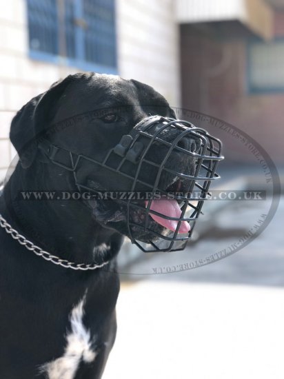 The Best XL Bully Muzzle Size Chart Black Wire Basket