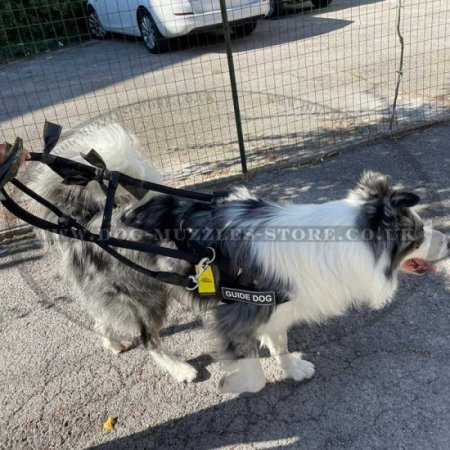 Black Nylon Guide Dog Harness with Handle for Assistance Dogs