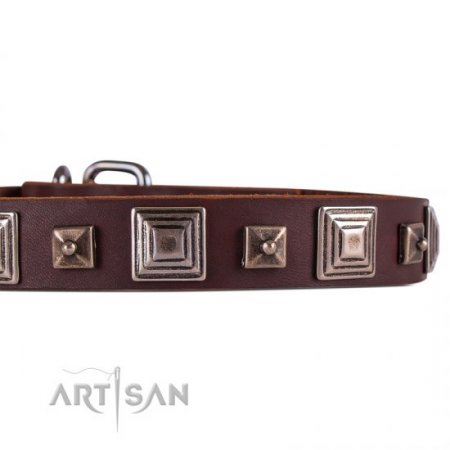Elegant Brown Studded Dog Collar FDT Artisan 1" Width