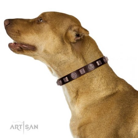 Luxury Brown Leather Dog Collar With Metal Buckle FDT Artisan