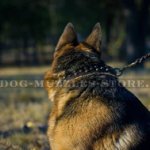 New Leather Dog Collar for German Shepherd 'Galaxy Trip'
