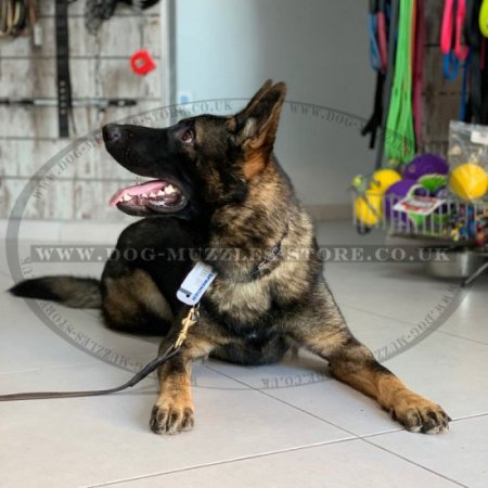 Black Stainless Steel Fur Saver Collar for Dog Training