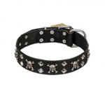 Leather Dog Collar FDT Artisan with Studs, Bones and Skulls