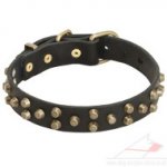 New Dog Collars with Brass Pyramids - Elegant Style for Your Dog