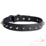 Spiked Dog Collar Best Quality and Price from the Producer
