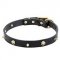 Designer Dog Collar with Golden Brainpans for Small/Large Dogs
