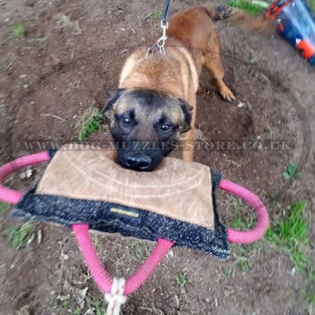 New Upgraded Leather Dog Bite Training Tug-Pad